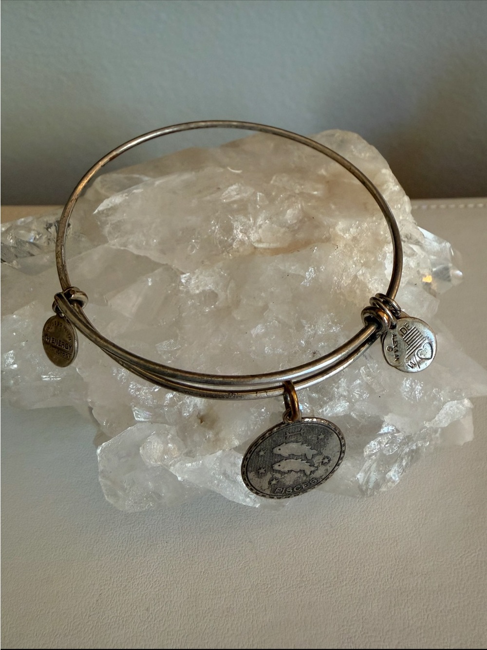 Alex and Ani Silver Tone Pisces Charm Bangle Bracelet